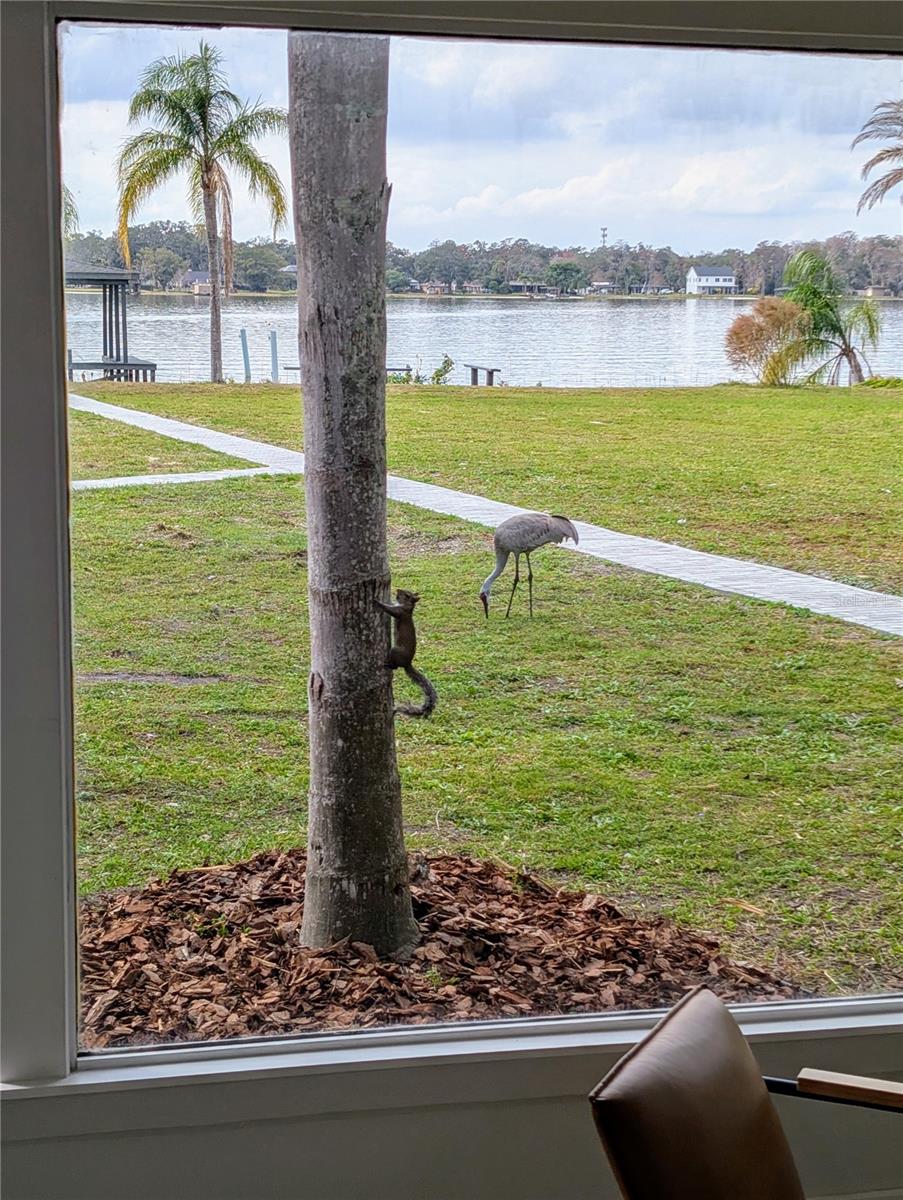 5526 PARKDALE DR, ORLANDO, FL, 32839