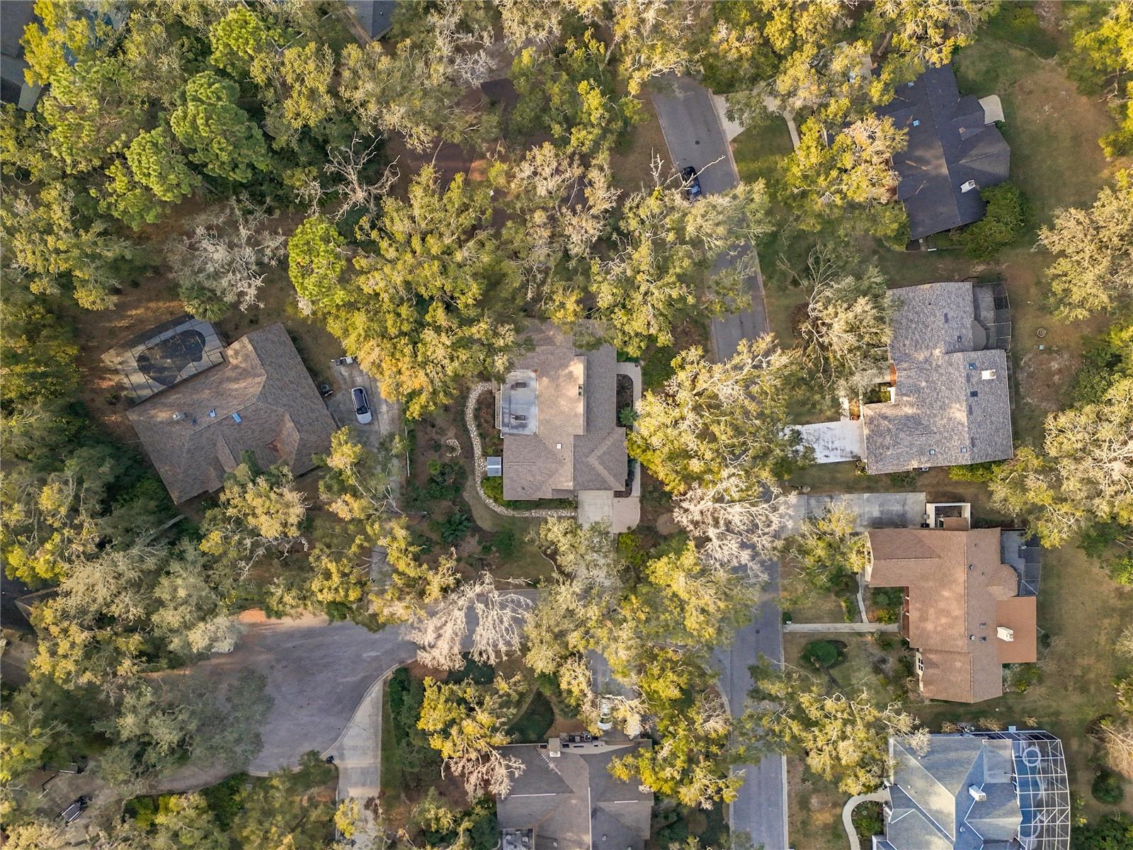 2042 EAGLES REST DR, APOPKA, FL, 32712