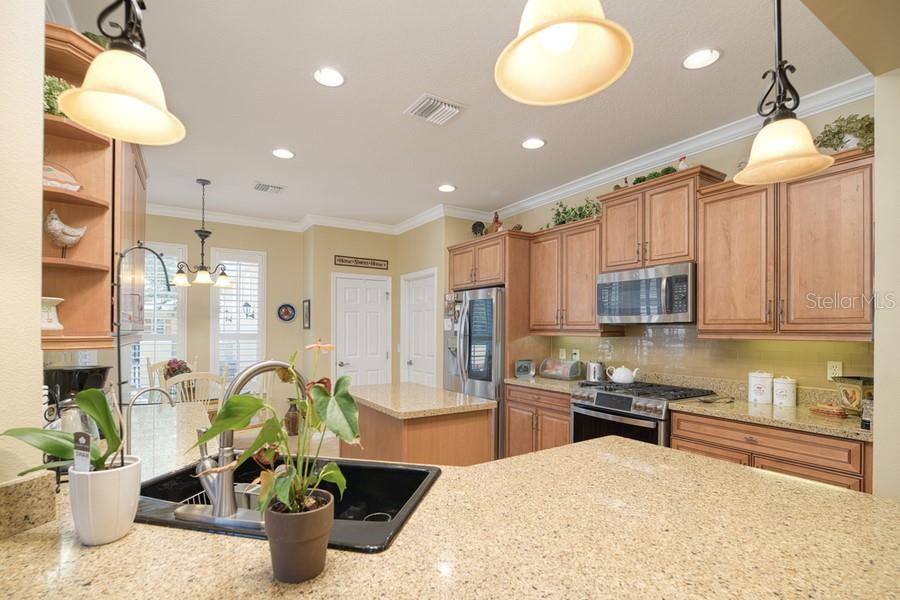 370 SALT MARSH LN, GROVELAND, FL, 34736