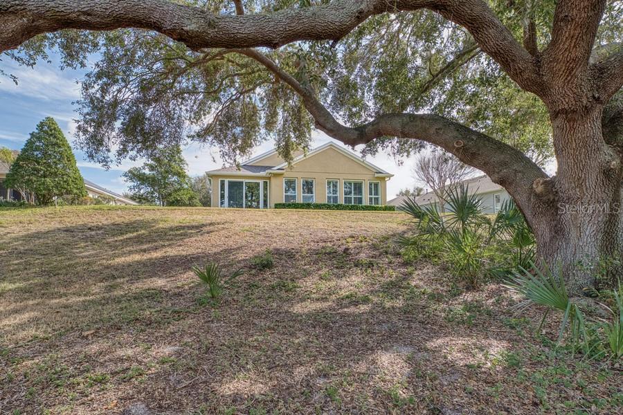 370 SALT MARSH LN, GROVELAND, FL, 34736