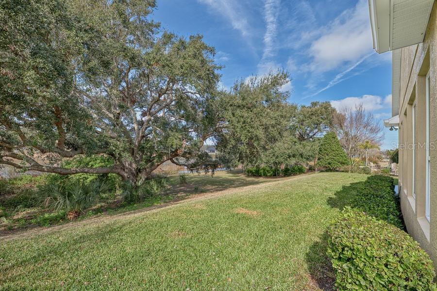 370 SALT MARSH LN, GROVELAND, FL, 34736