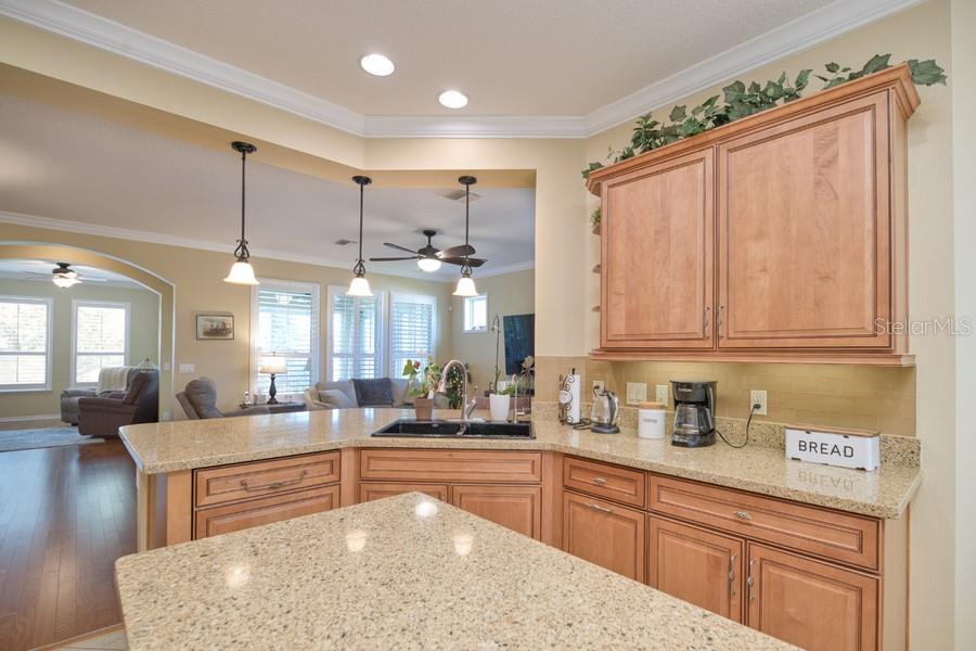 370 SALT MARSH LN, GROVELAND, FL, 34736