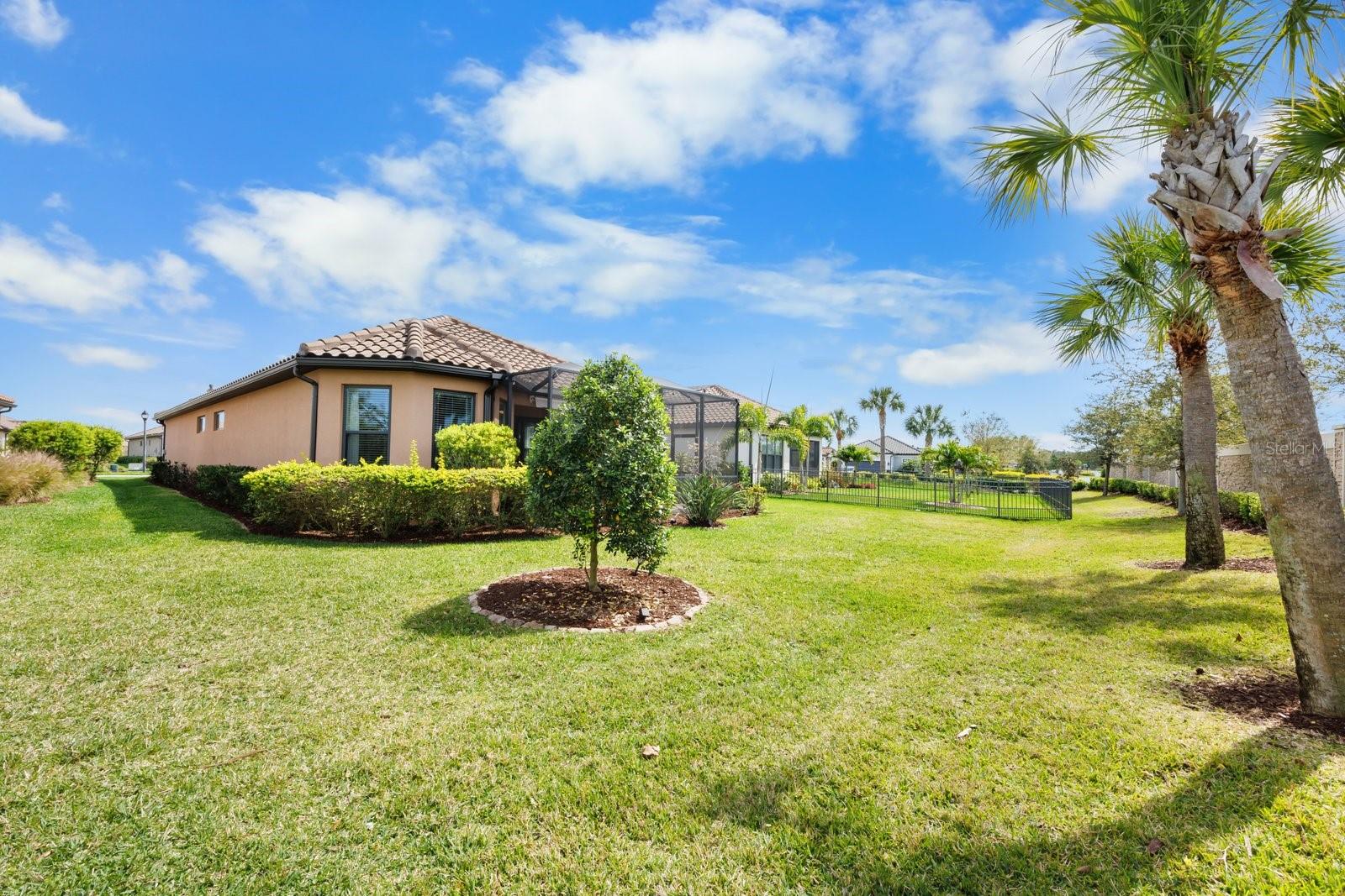 11111 CALLISIA DR, ODESSA, FL, 33556