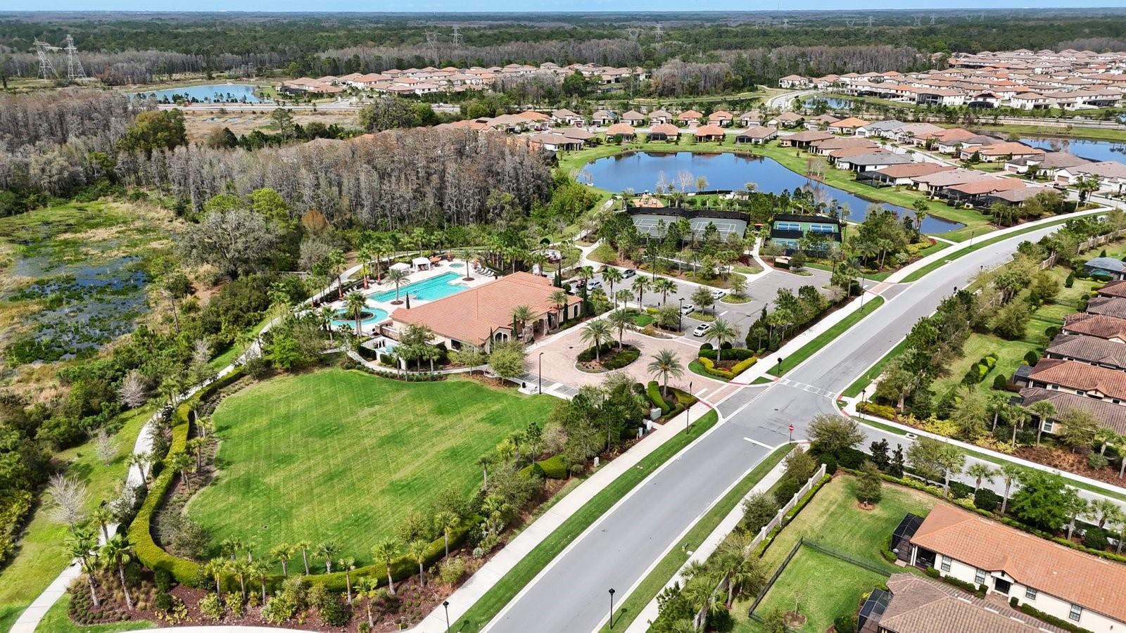 11111 CALLISIA DR, ODESSA, FL, 33556