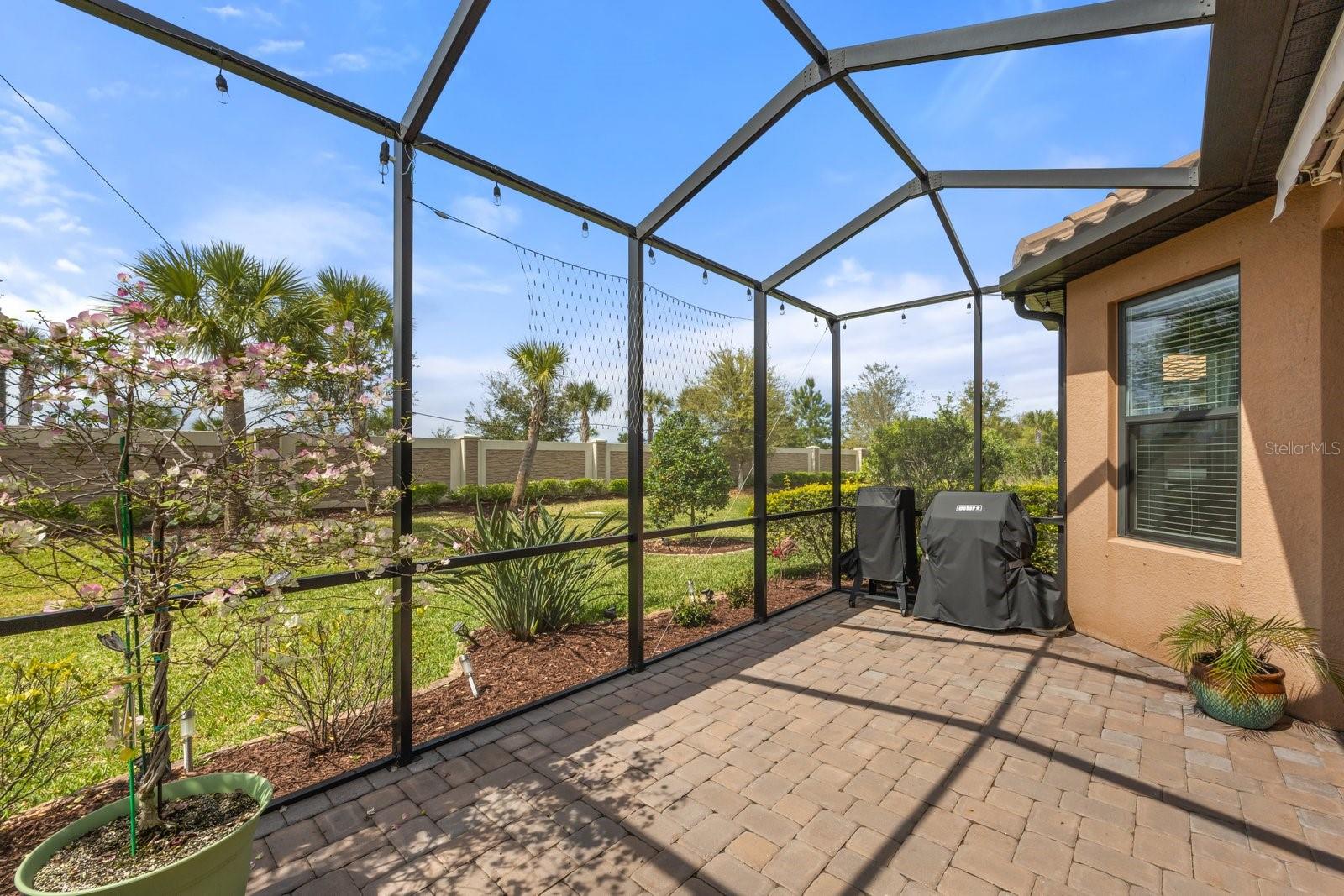 11111 CALLISIA DR, ODESSA, FL, 33556