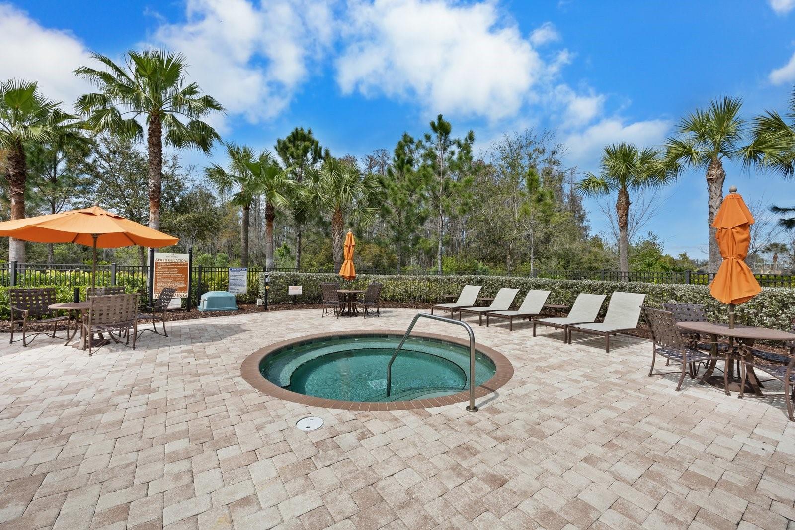 11111 CALLISIA DR, ODESSA, FL, 33556