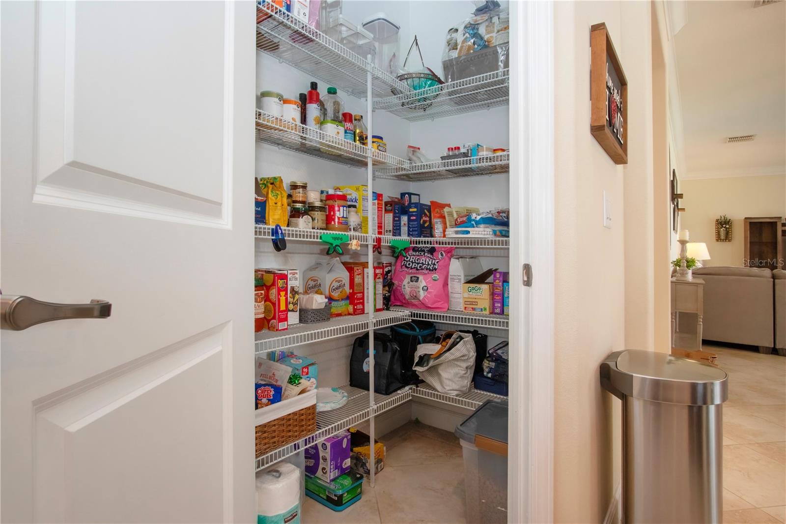 13144 GREEN VIOLET DR, RIVERVIEW, FL, 33579