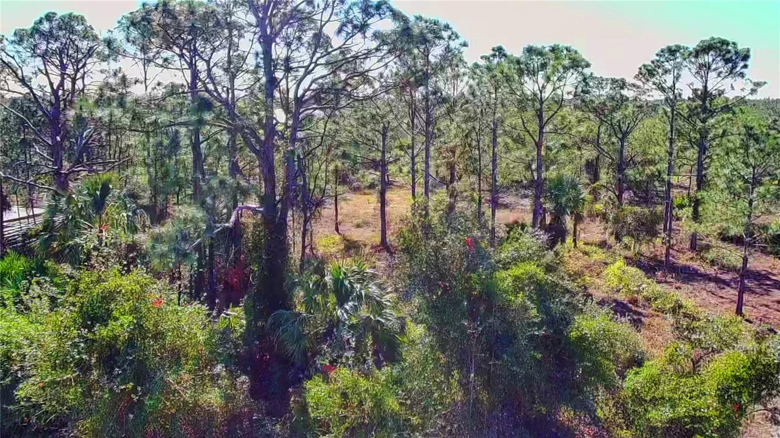 27051 CAPISTRANO DR, PUNTA GORDA, FL, 33955