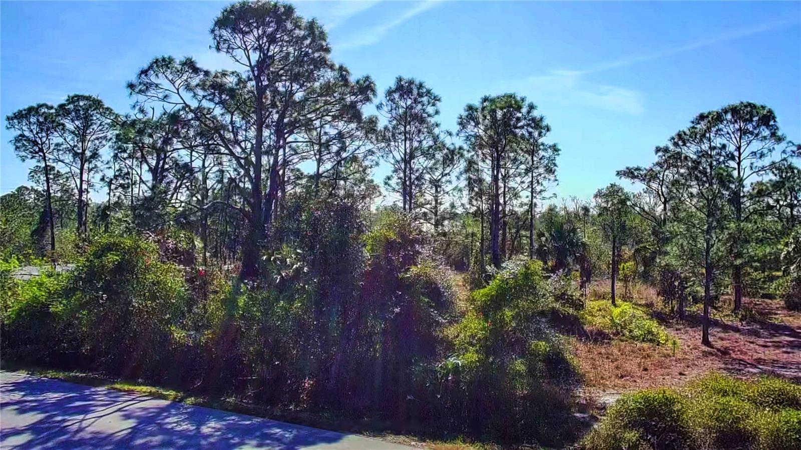 27051 CAPISTRANO DR, PUNTA GORDA, FL, 33955