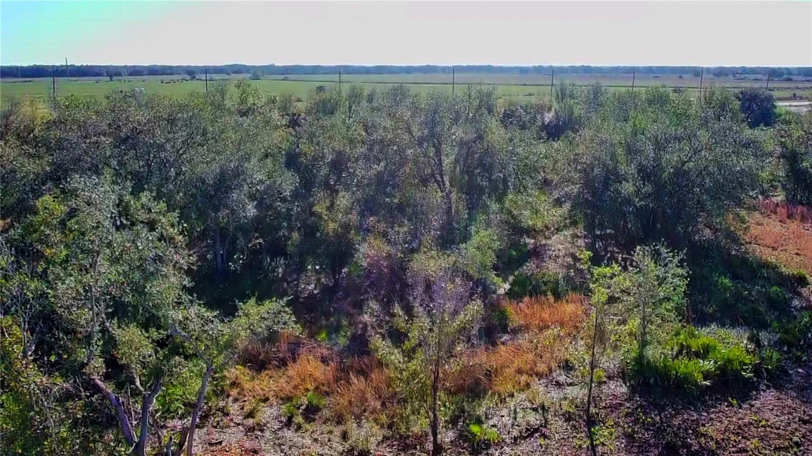 69 DUNCAN RD, PUNTA GORDA, FL, 33982