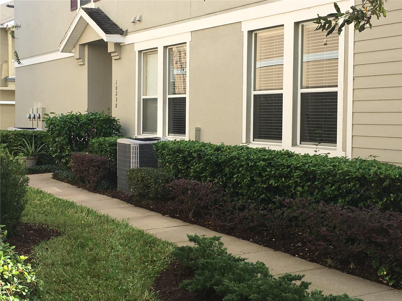 10238 CALA LILY TRL #S, ORLANDO, FL, 32832