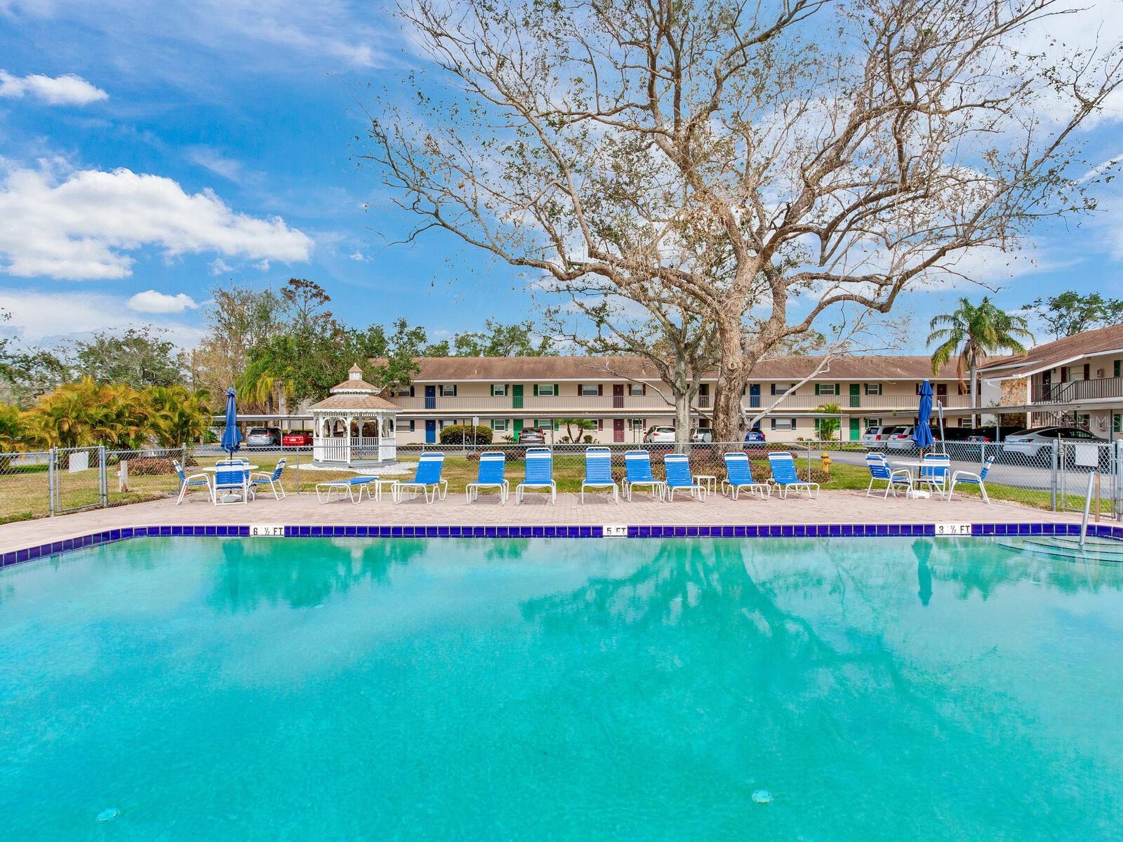 9881 113TH ST #115, SEMINOLE, FL, 33772