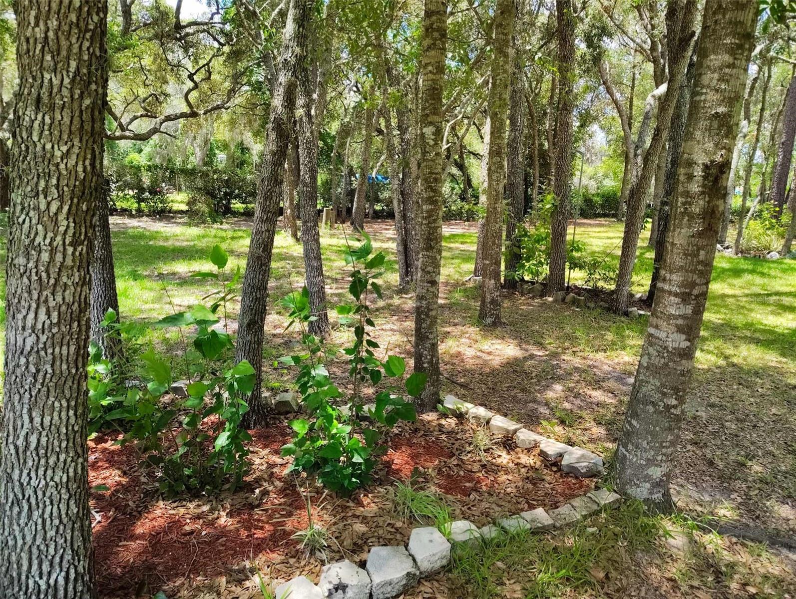 6279 W APPOMATTOX LN, HOMOSASSA, FL, 34448