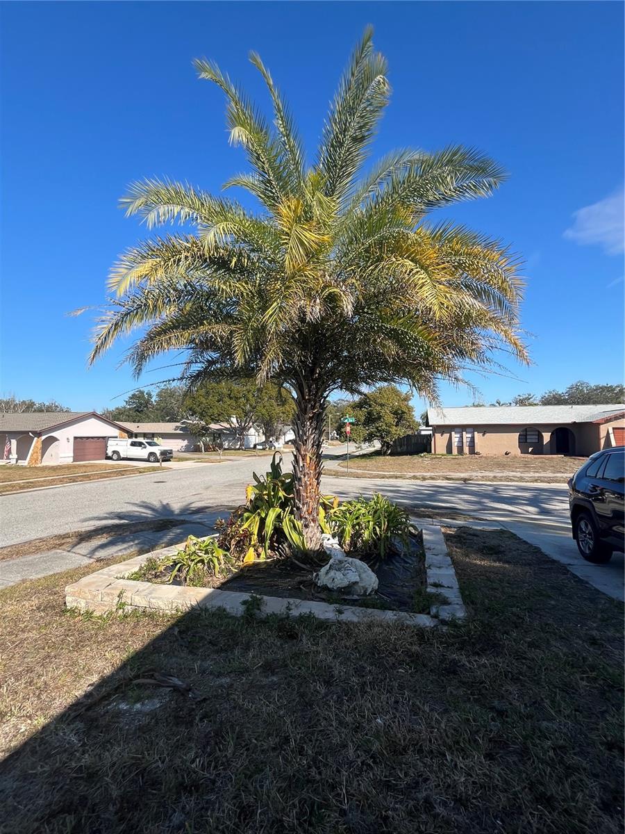 12929 WALNUT TREE LN, HUDSON, FL, 34669