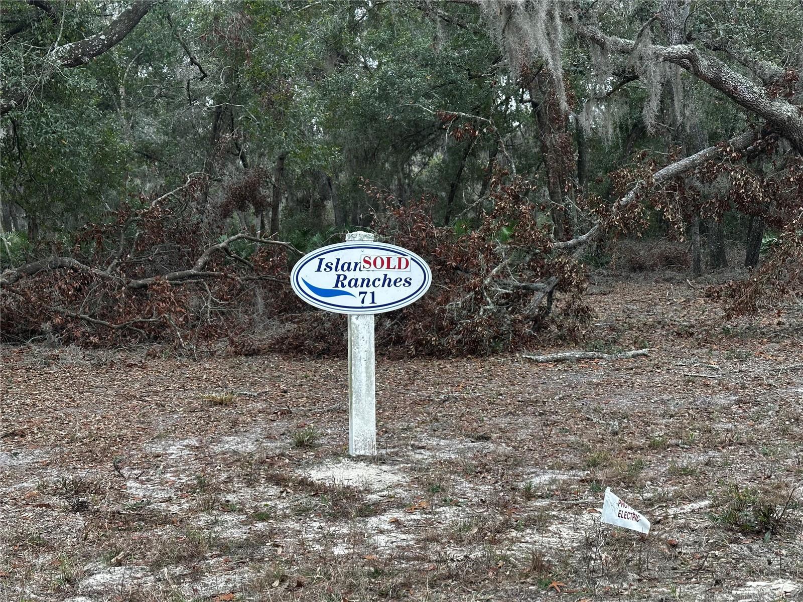 3150 BRIGHT LAKE CIR #71, GROVELAND, FL, 34736