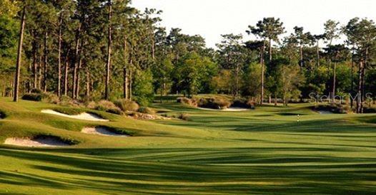 1137 AVERY MEADOWS WAY, DELAND, FL, 32724