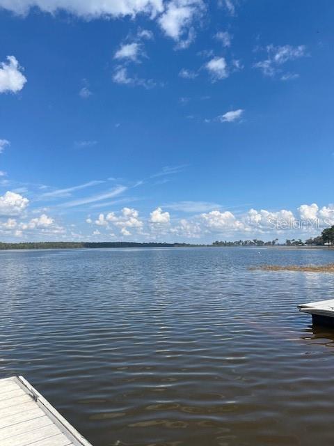 10425 SE 159TH LANE, SUMMERFIELD, FL, 34491