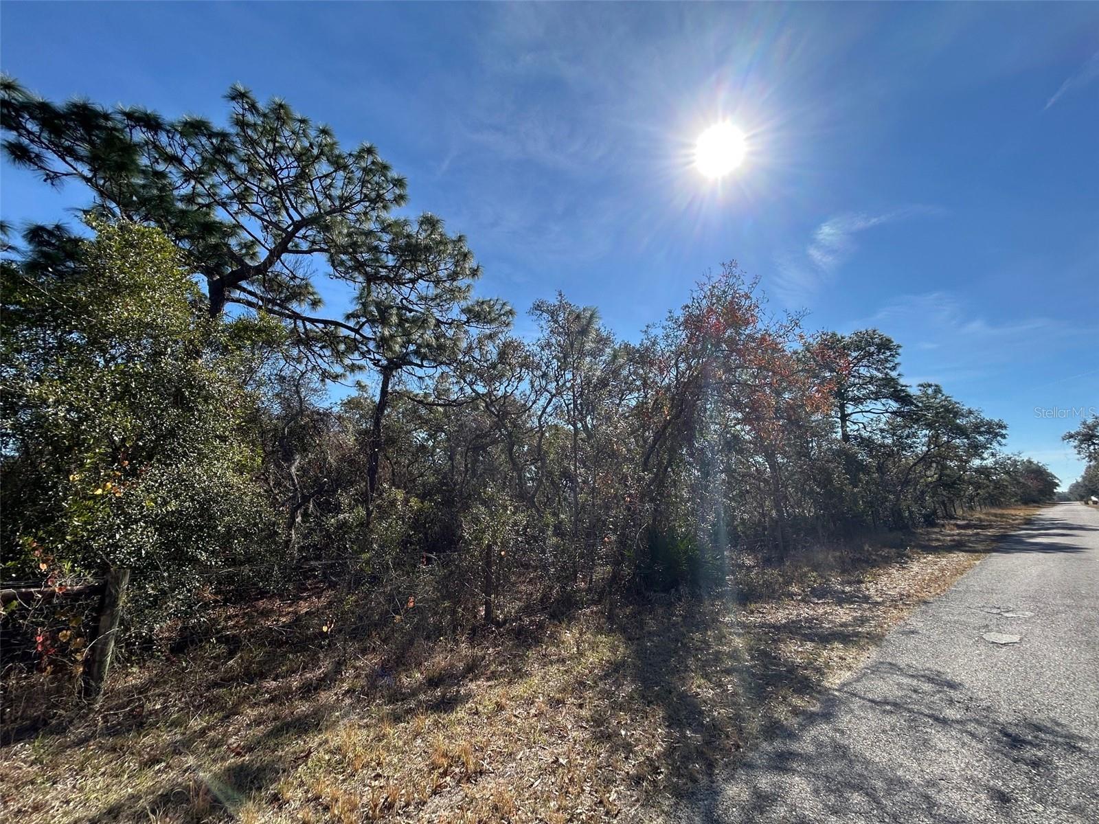 9940 BLACK BEAR LN, WINTER GARDEN, FL, 34787