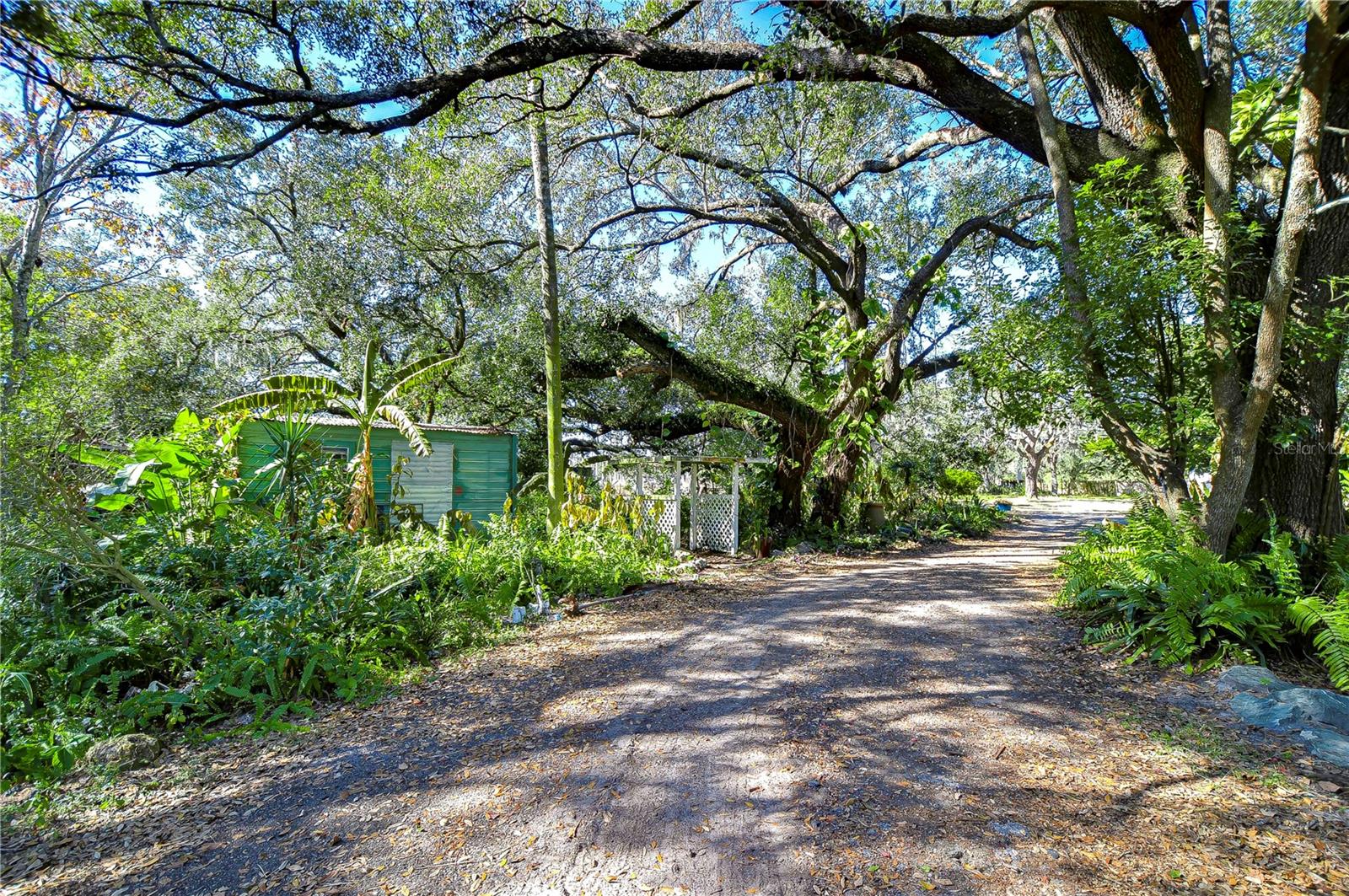 14203 NAGLE CT, SPRING HILL, FL, 34610