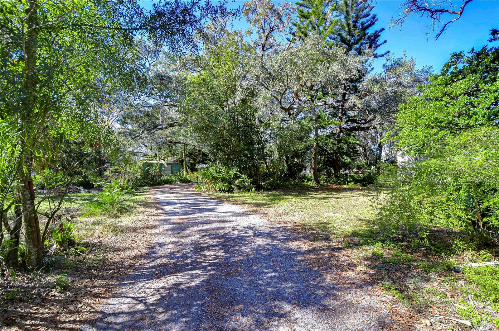 14203 NAGLE CT, SPRING HILL, FL, 34610