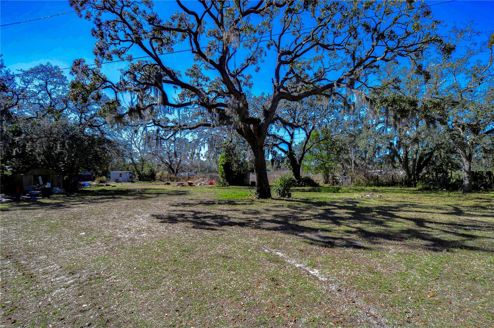 14203 NAGLE CT, SPRING HILL, FL, 34610