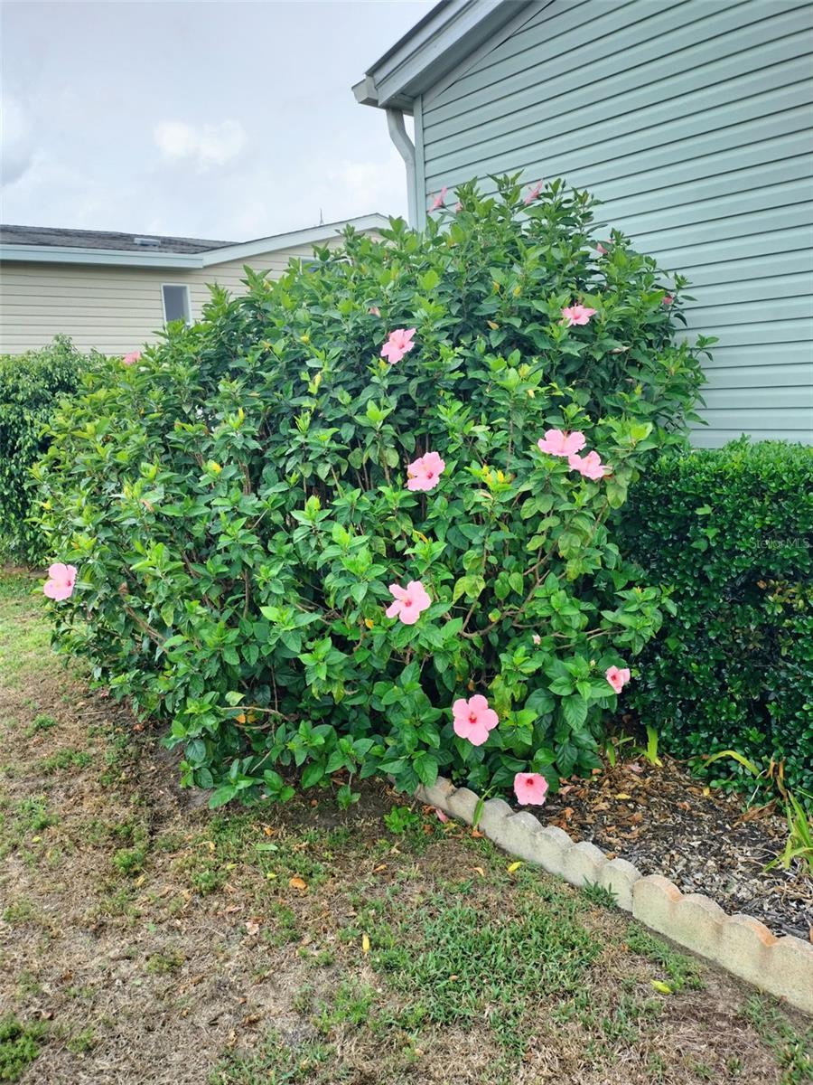 37729 NEUKOM AVE, ZEPHYRHILLS, FL, 33541