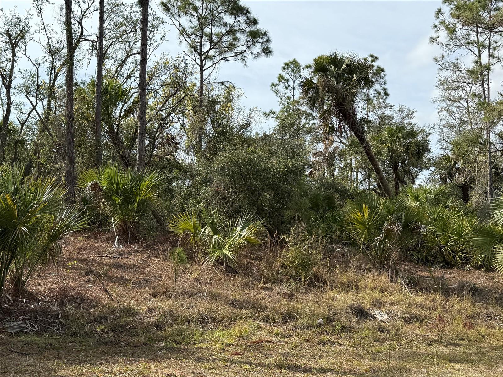 2094 DORION ST, PORT CHARLOTTE, FL, 33948