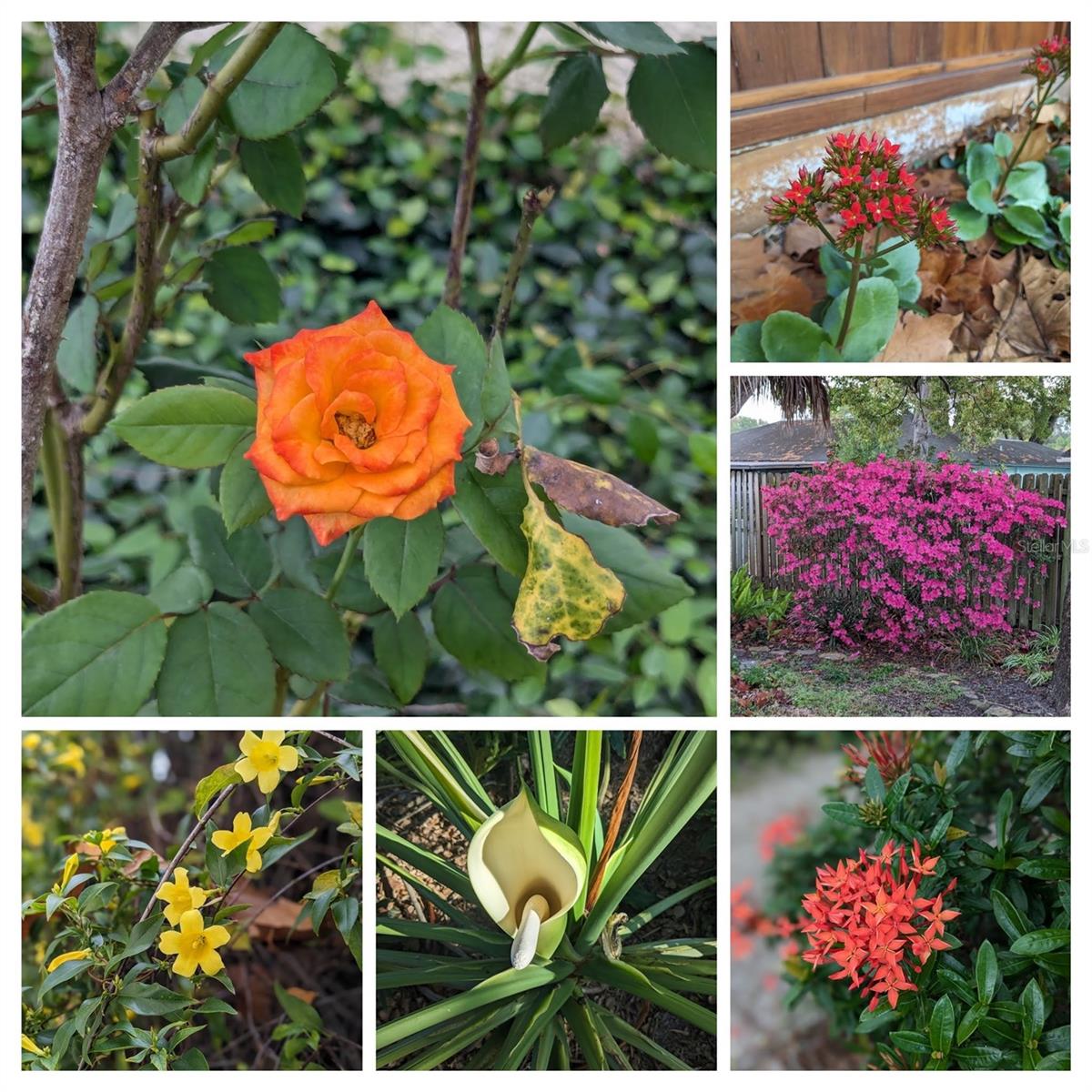 802 GATEWAY LN, TAMPA, FL, 33613