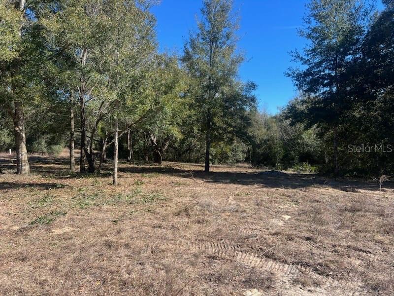 708 S SAVARY AVE, INVERNESS, FL, 34453
