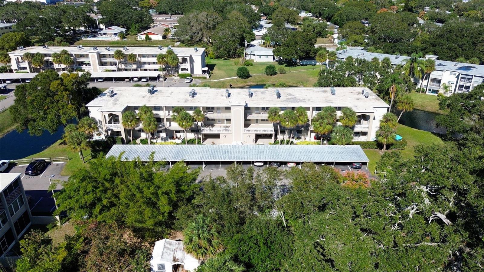 940 VIRGINIA ST #208, DUNEDIN, FL, 34698