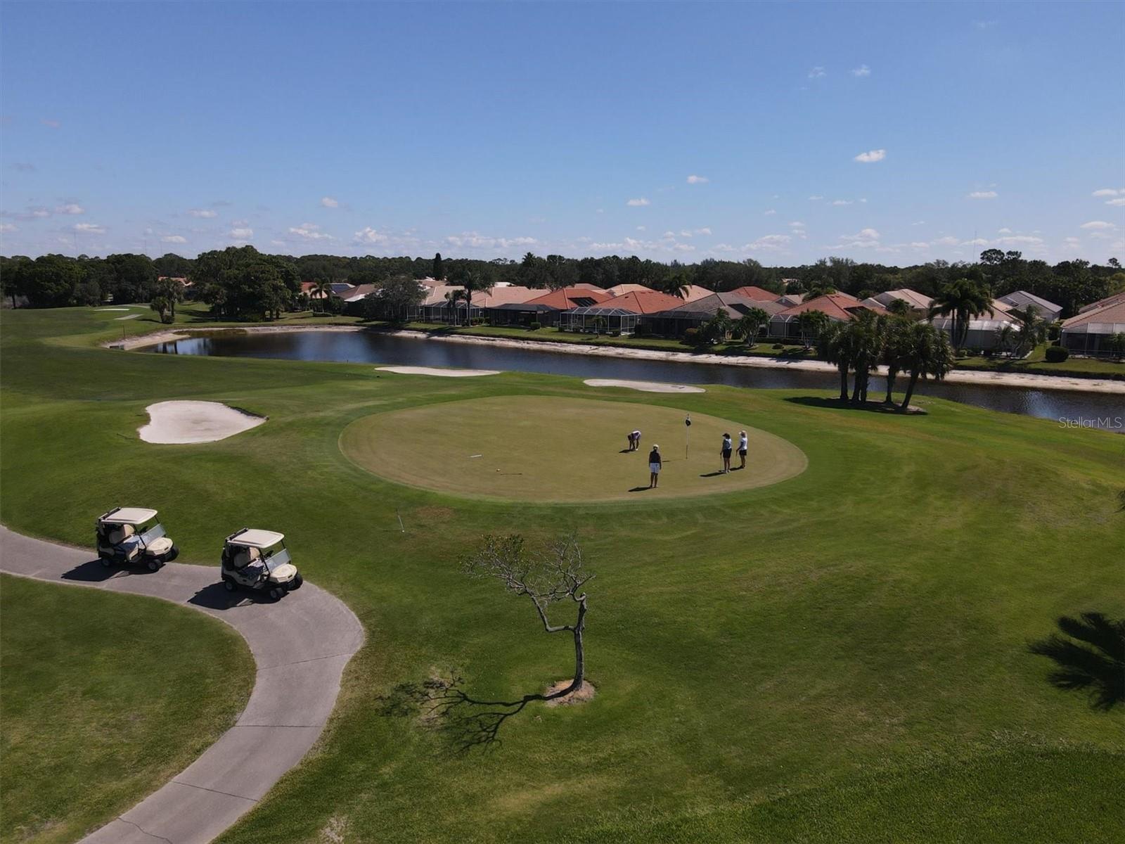 1207 HIGHLAND GREENS DR, VENICE, FL, 34285