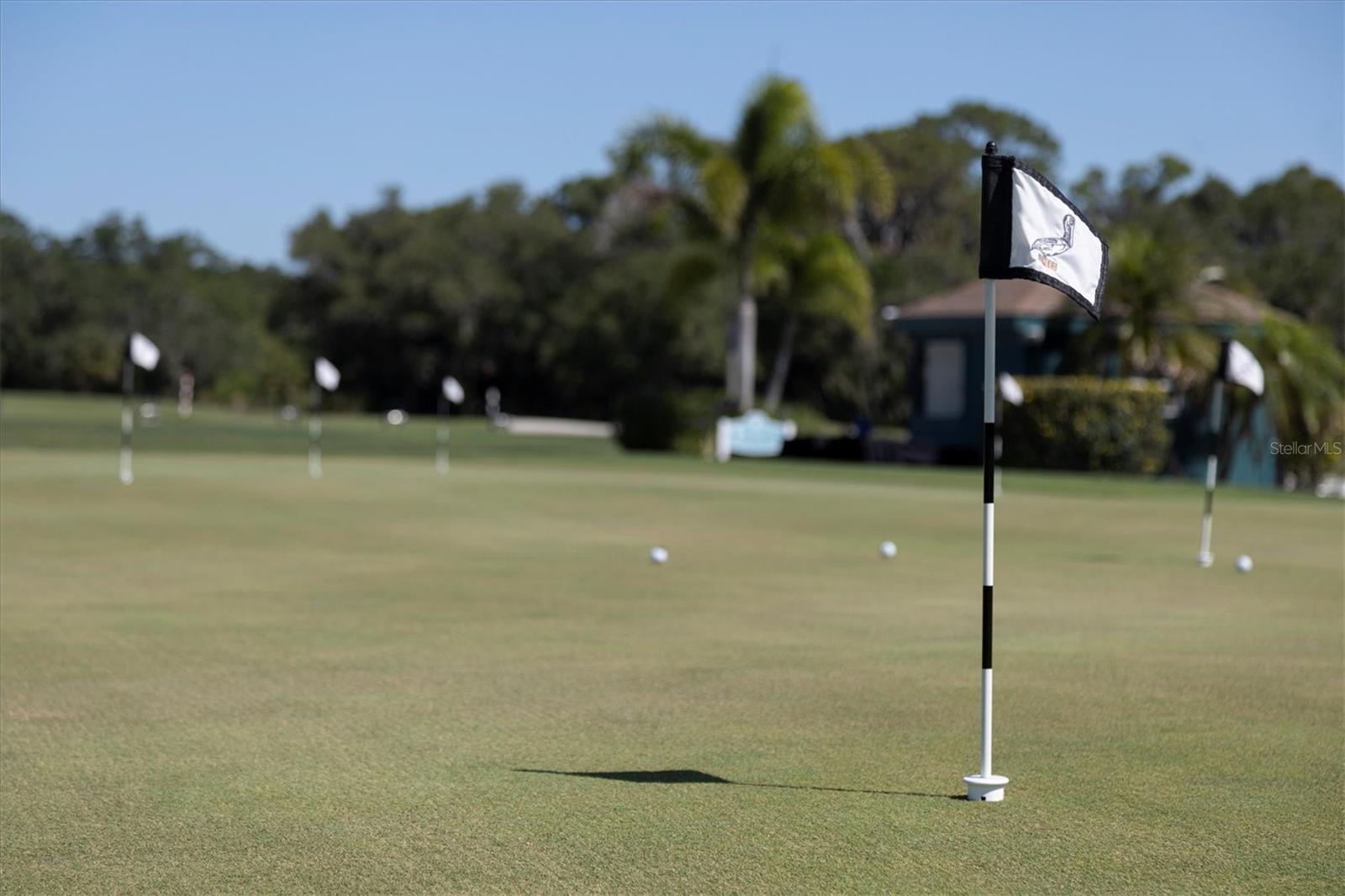 1207 HIGHLAND GREENS DR, VENICE, FL, 34285