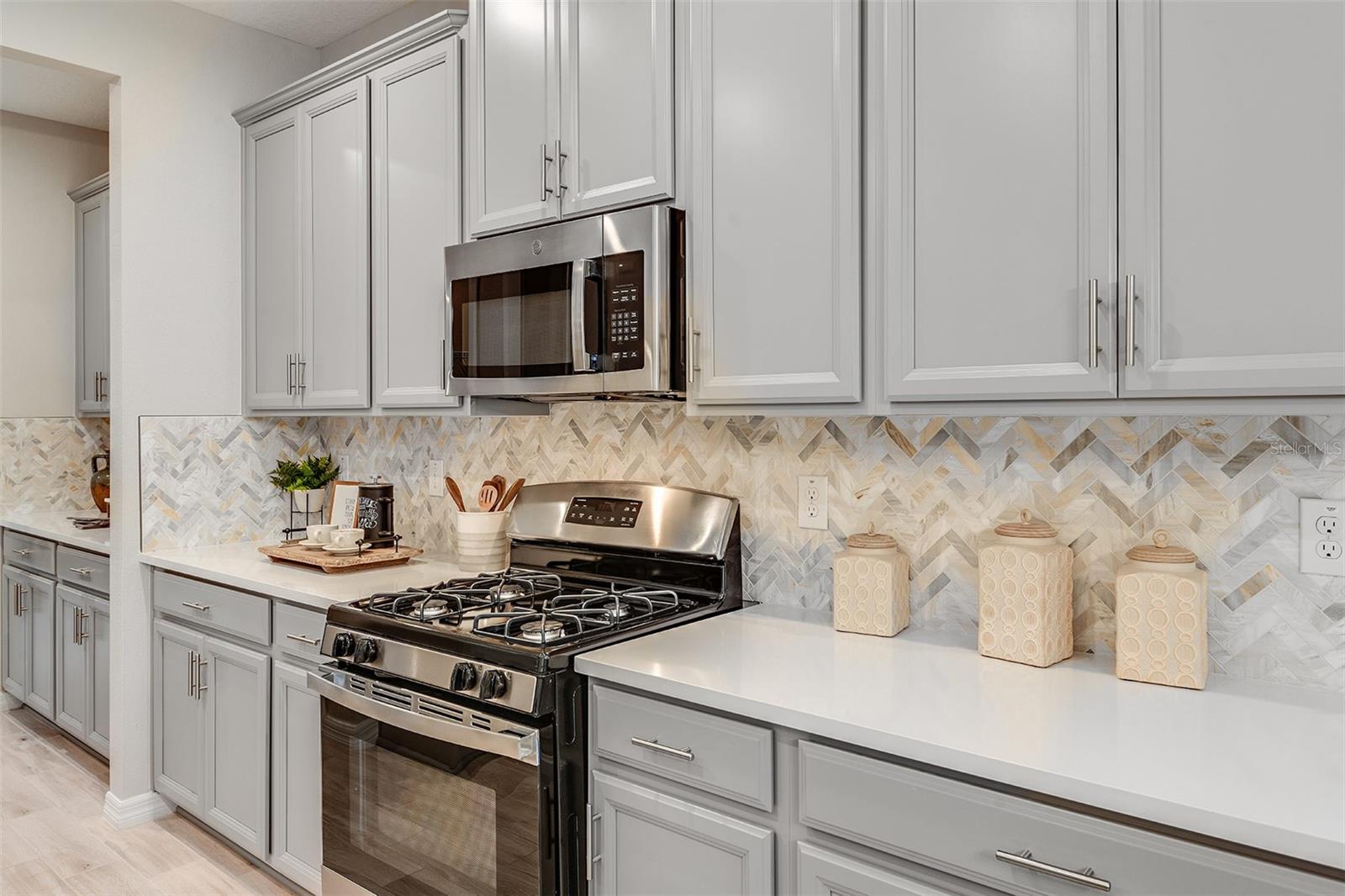 1988 LONGLINER LOOP, WESLEY CHAPEL, FL, 33543