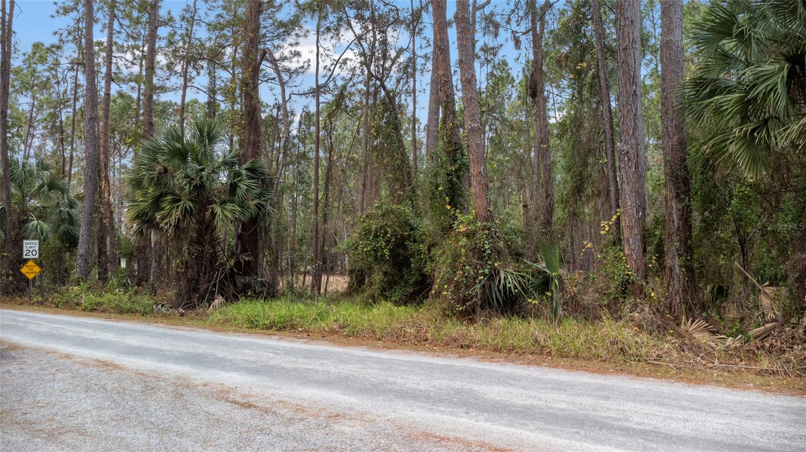 SANCTUARY AVE, DEBARY, FL, 32713