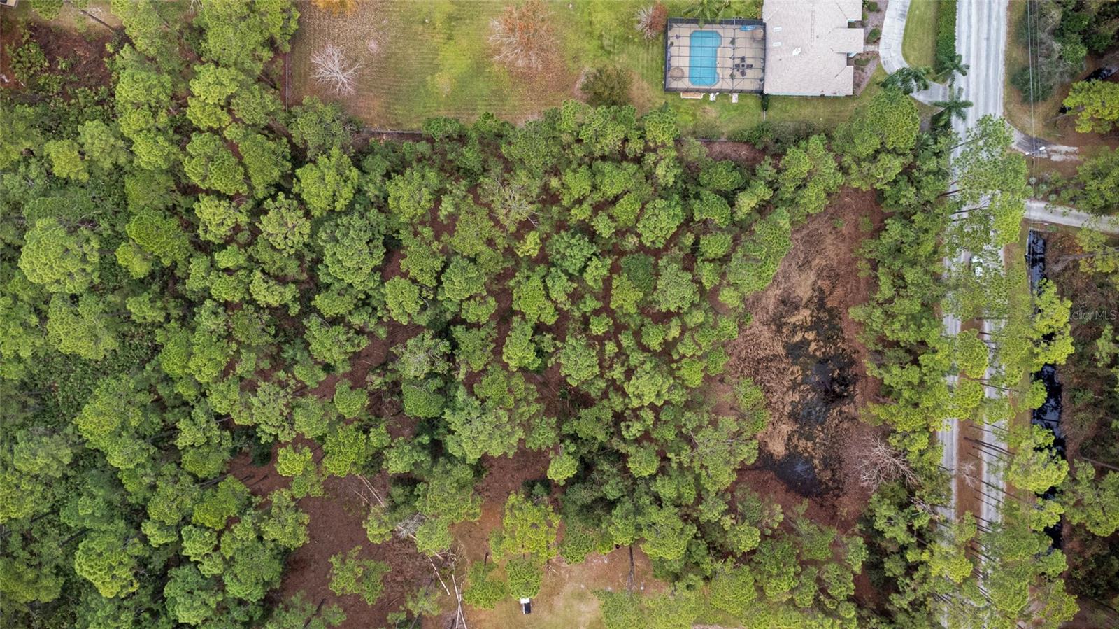 SANCTUARY AVE, DEBARY, FL, 32713