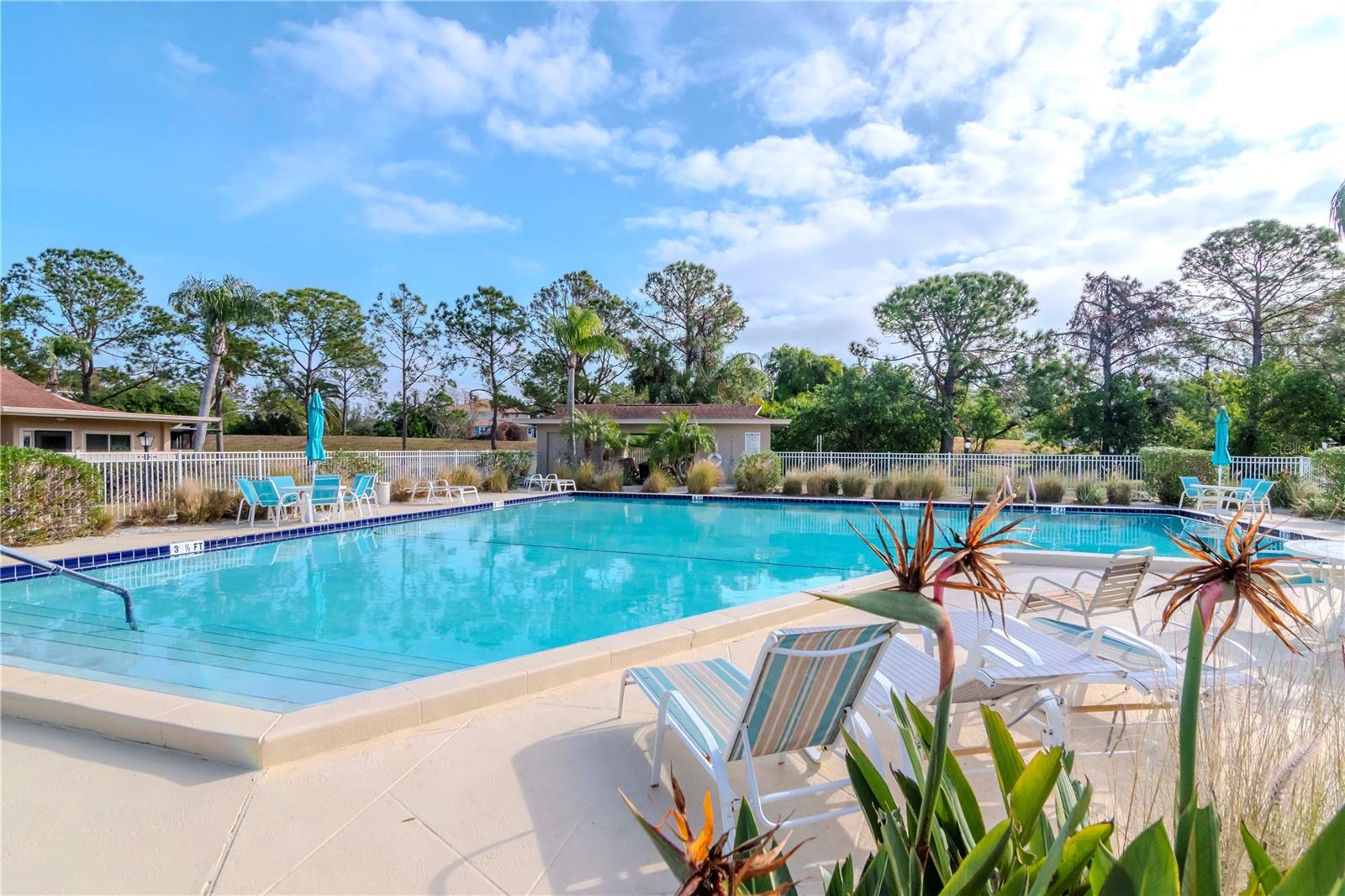 2468 LAURELWOOD DR #B, CLEARWATER, FL, 33763