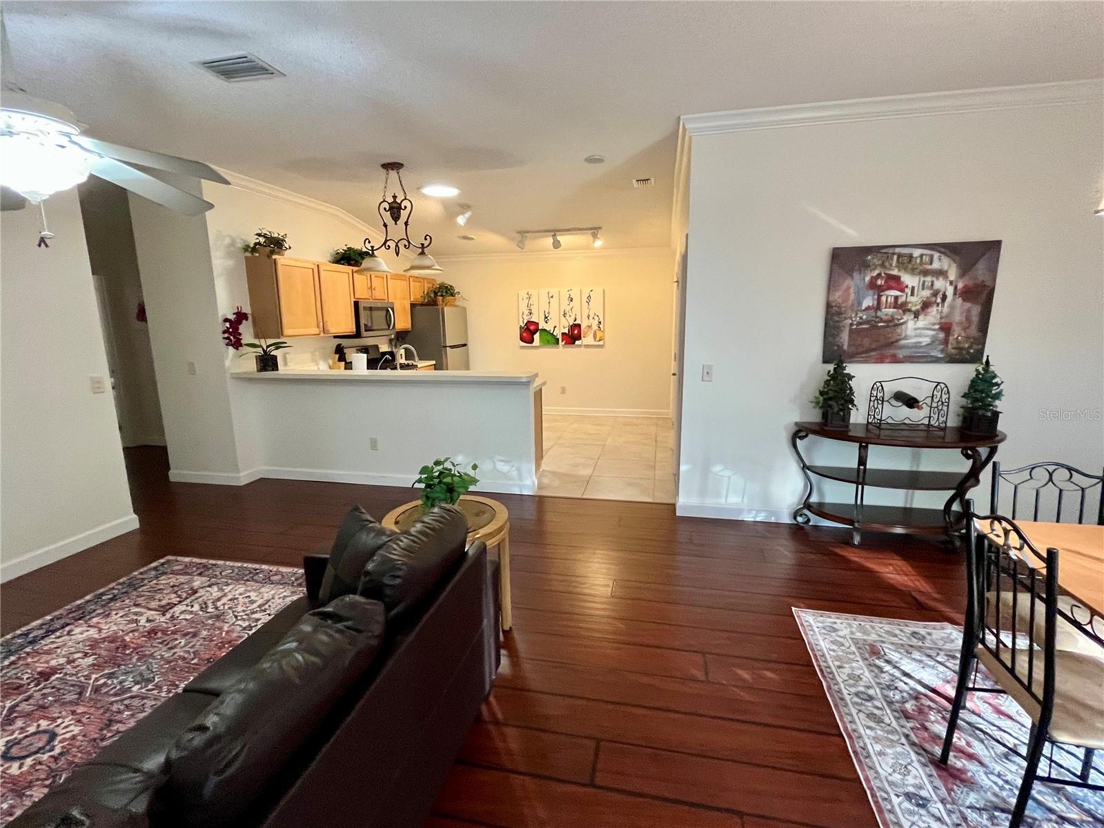 3580 AMELIA AVE, THE VILLAGES, FL, 32162