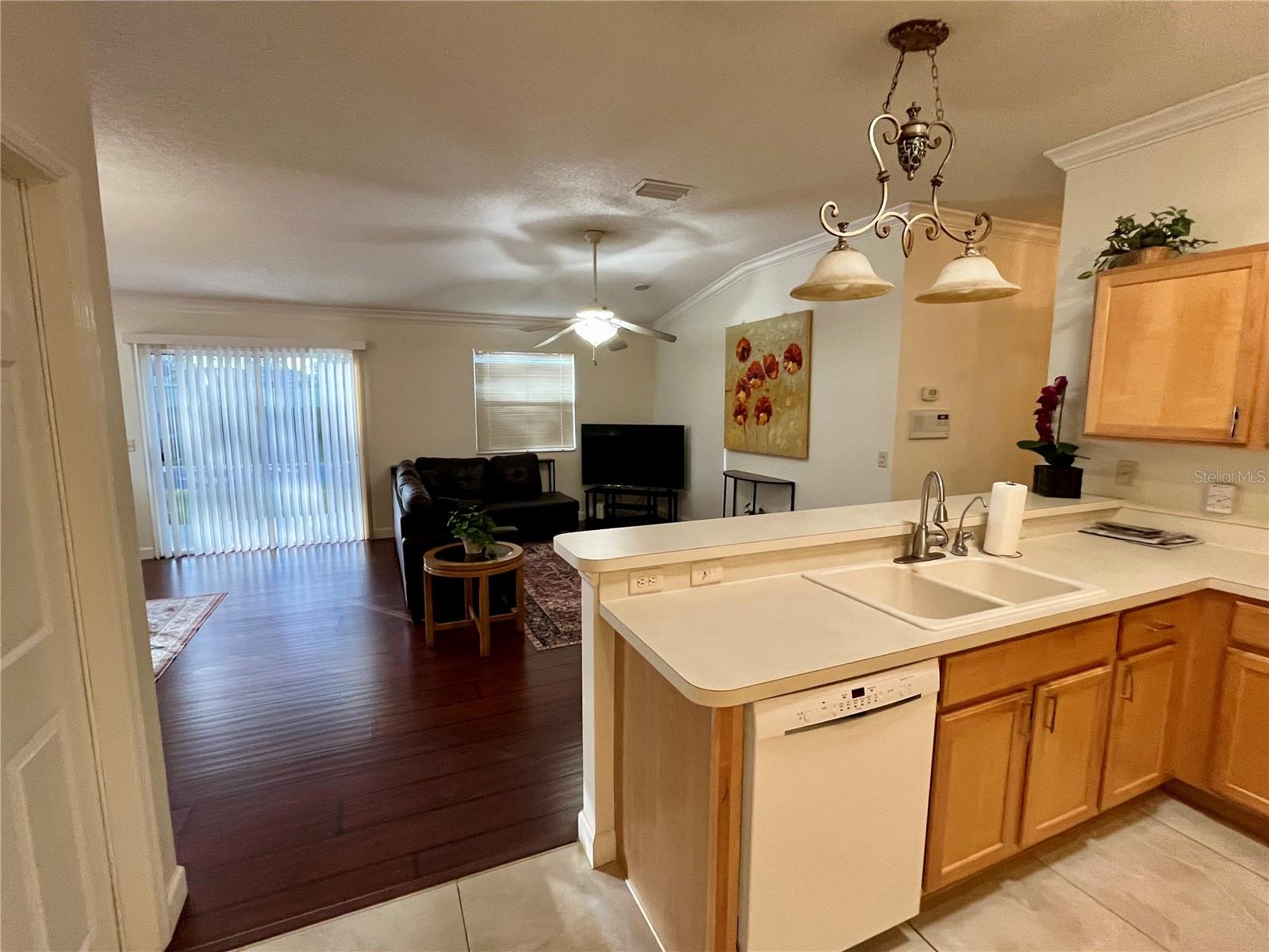 3580 AMELIA AVE, THE VILLAGES, FL, 32162