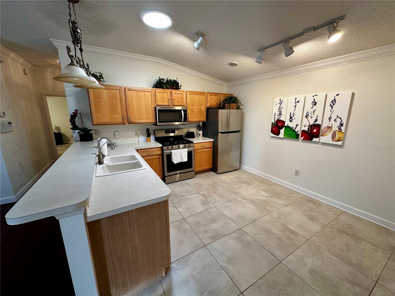 3580 AMELIA AVE, THE VILLAGES, FL, 32162