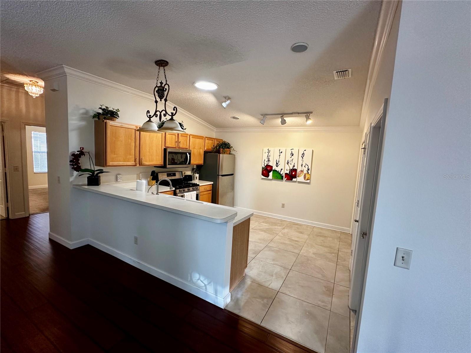 3580 AMELIA AVE, THE VILLAGES, FL, 32162