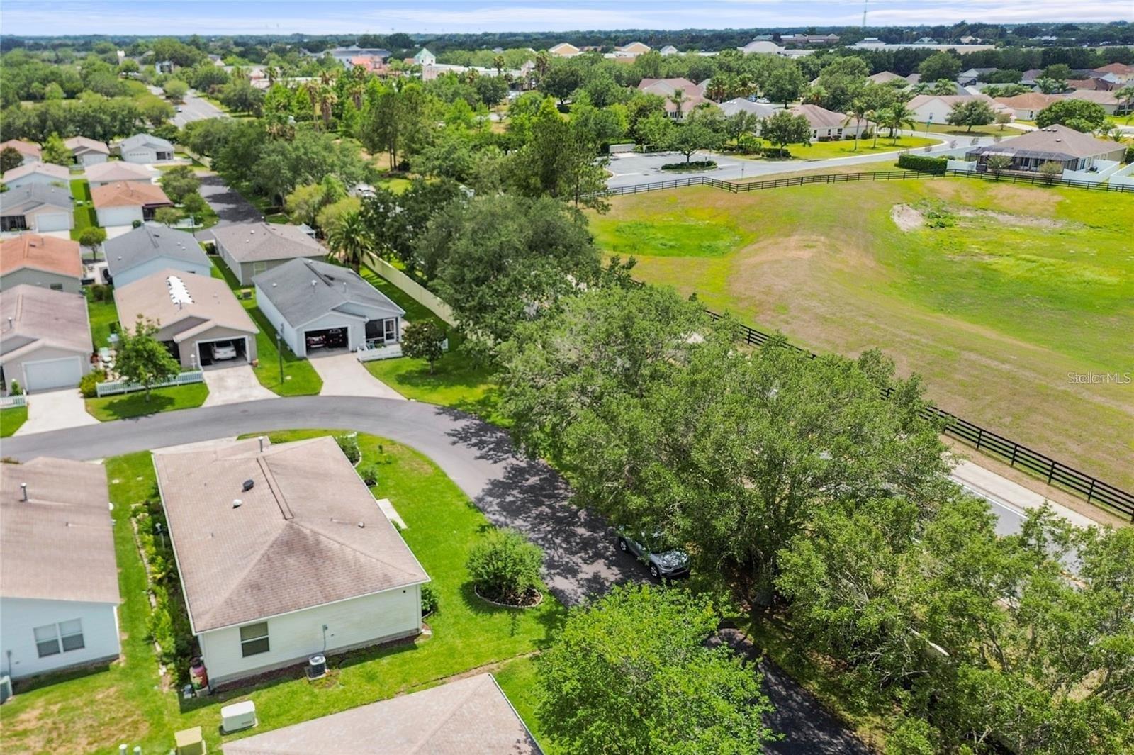 3580 AMELIA AVE, THE VILLAGES, FL, 32162