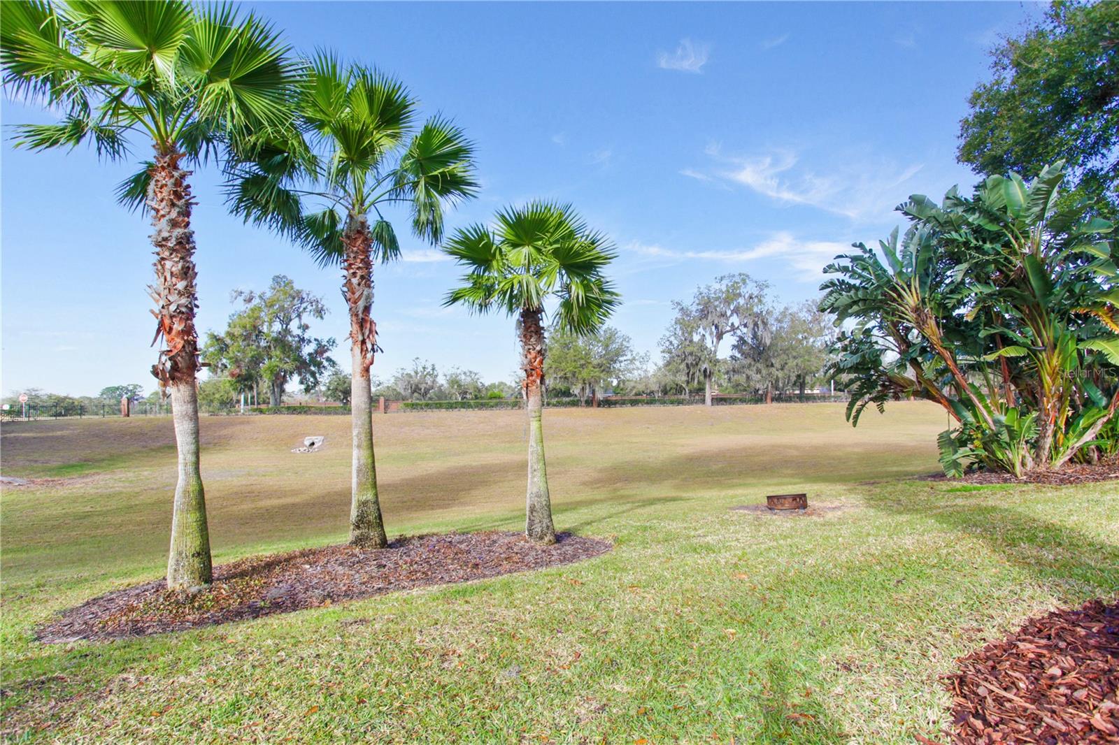3138 JAMBER DR, OCOEE, FL, 34761