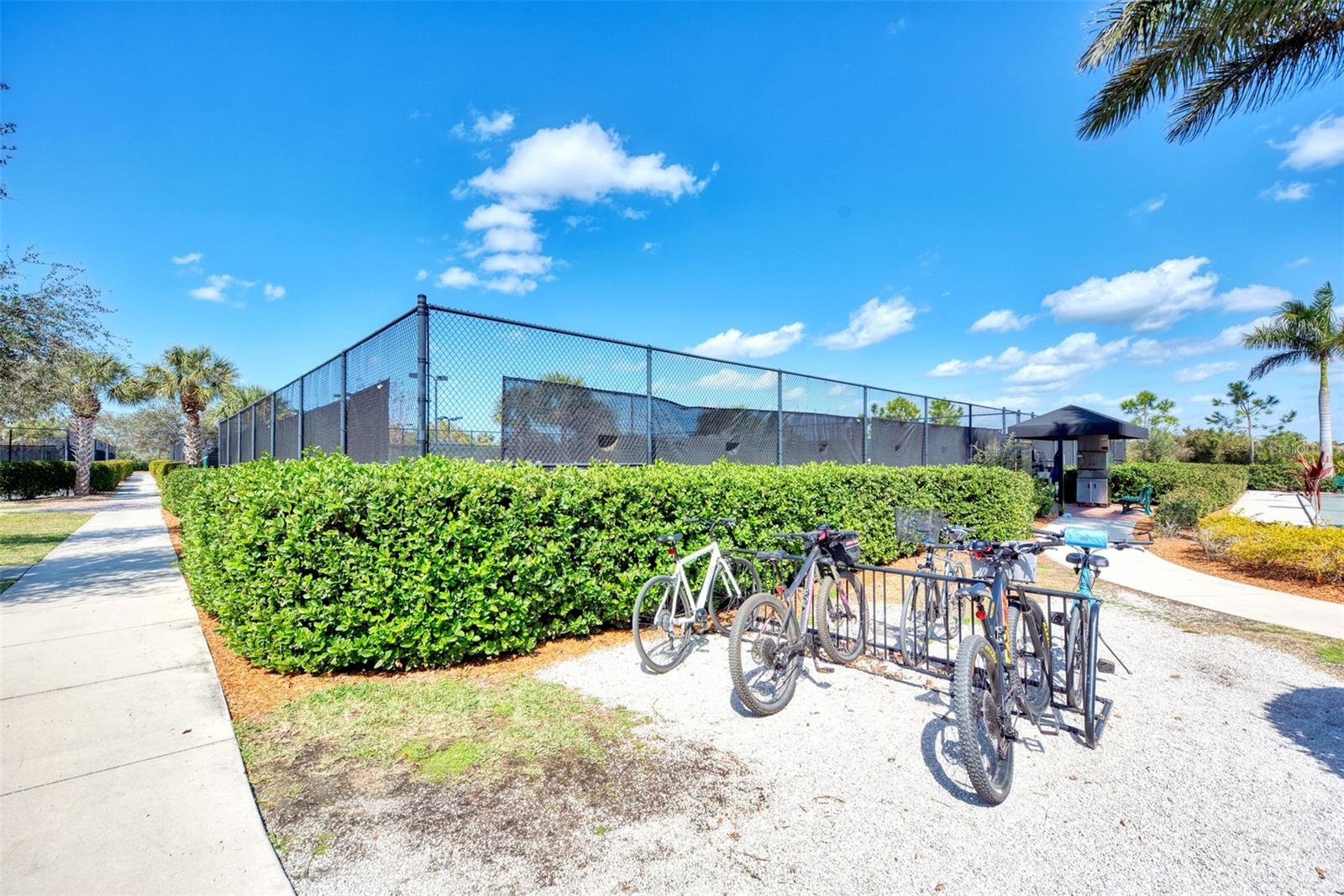 24269 SPARTINA DR, VENICE, FL, 34293