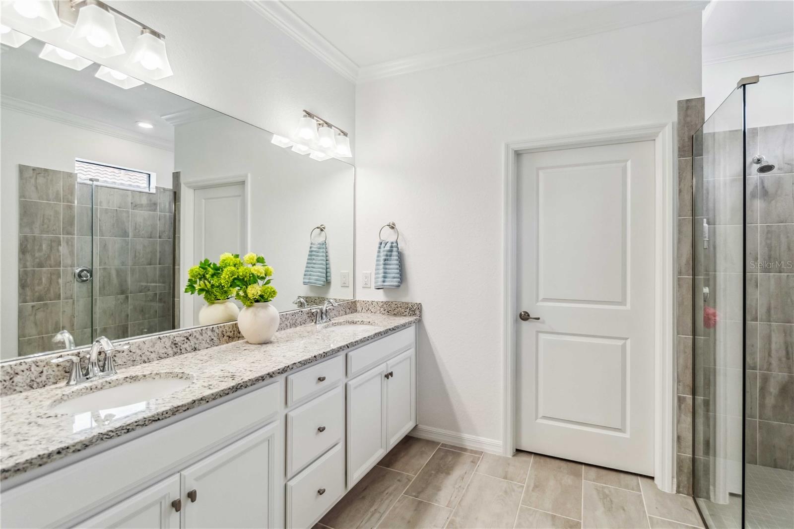 24269 SPARTINA DR, VENICE, FL, 34293