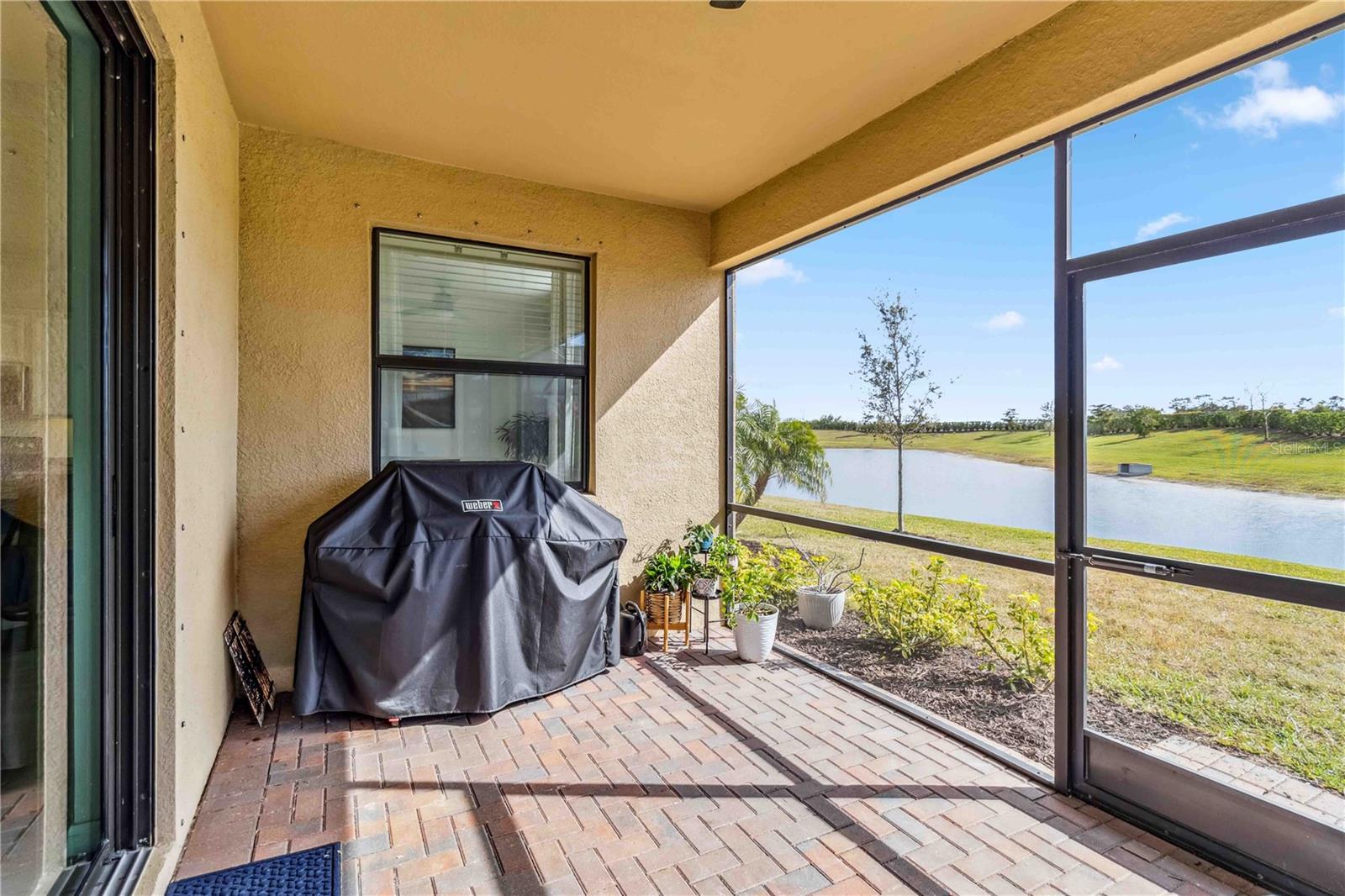 24269 SPARTINA DR, VENICE, FL, 34293