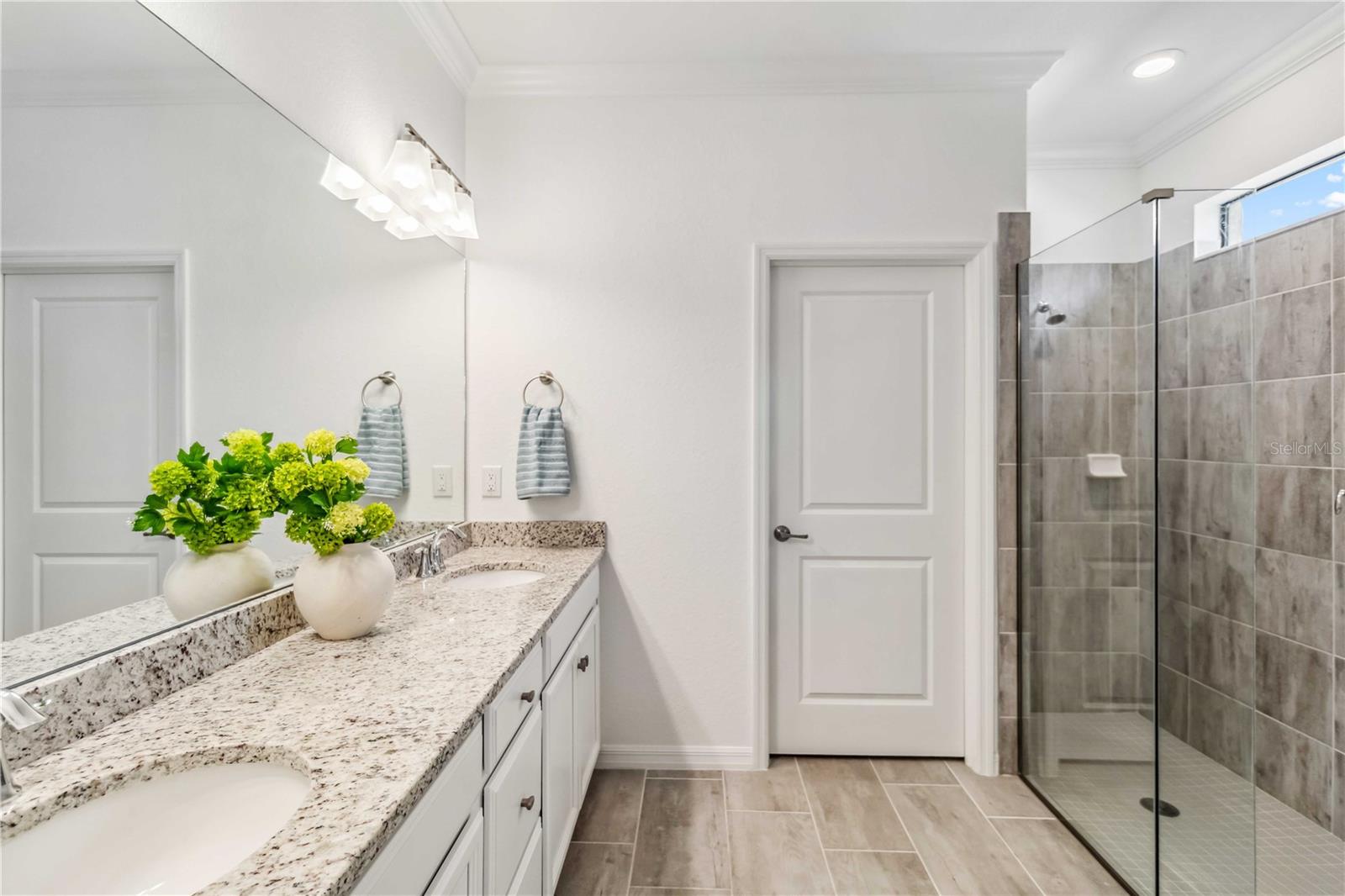 24269 SPARTINA DR, VENICE, FL, 34293