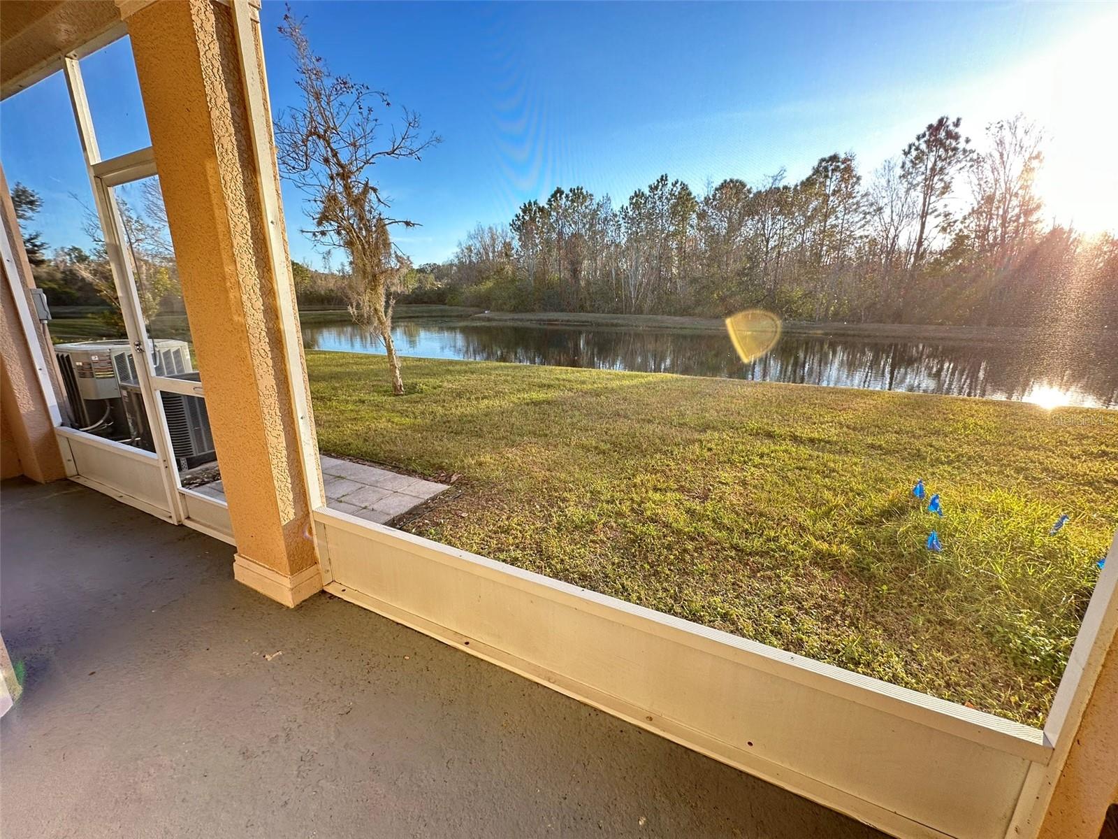 26904 JUNIPER BAY DR, WESLEY CHAPEL, FL, 33544