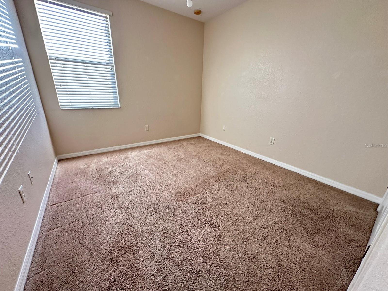 26904 JUNIPER BAY DR, WESLEY CHAPEL, FL, 33544