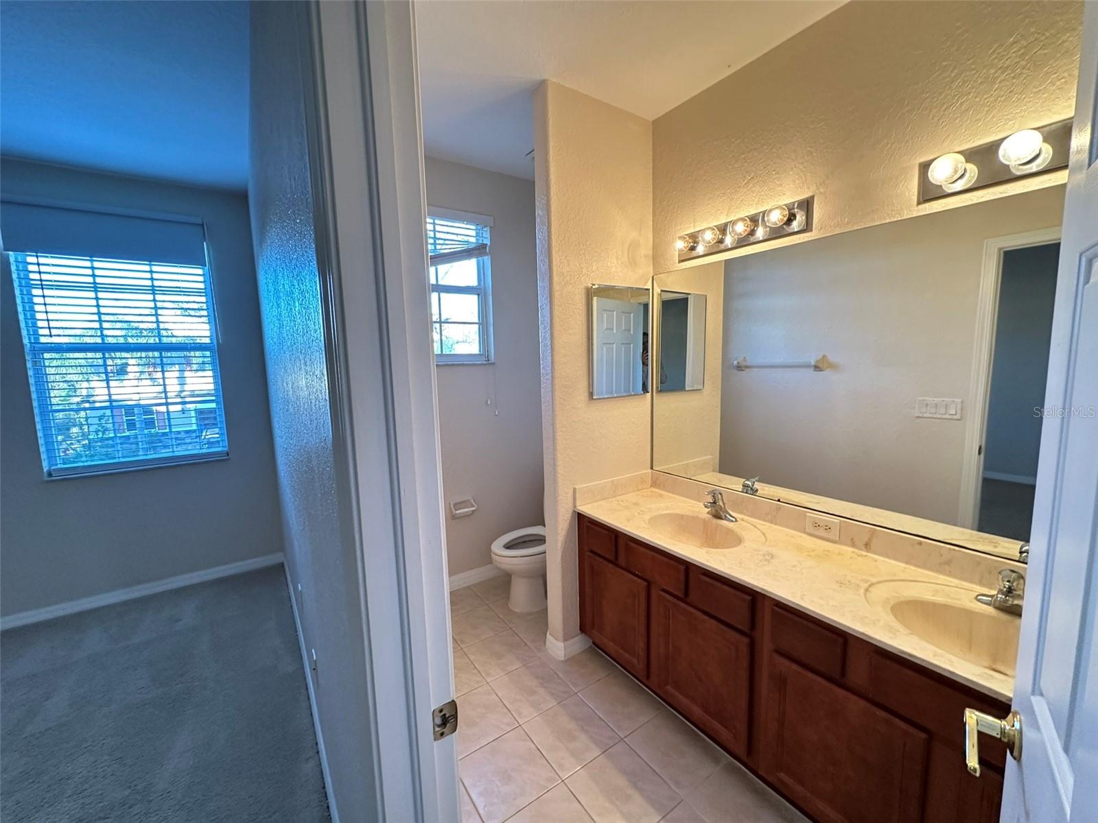 26904 JUNIPER BAY DR, WESLEY CHAPEL, FL, 33544