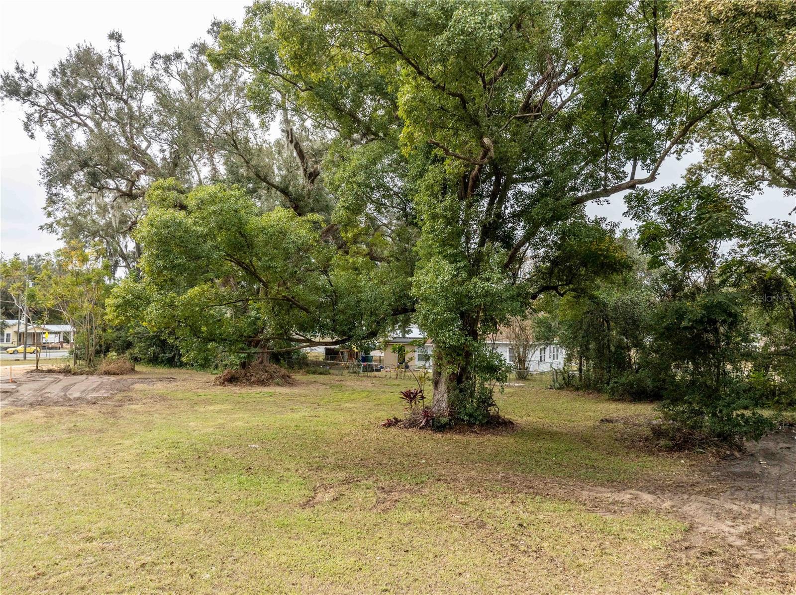 505 CLEVELAND AVE, WILDWOOD, FL, 34785